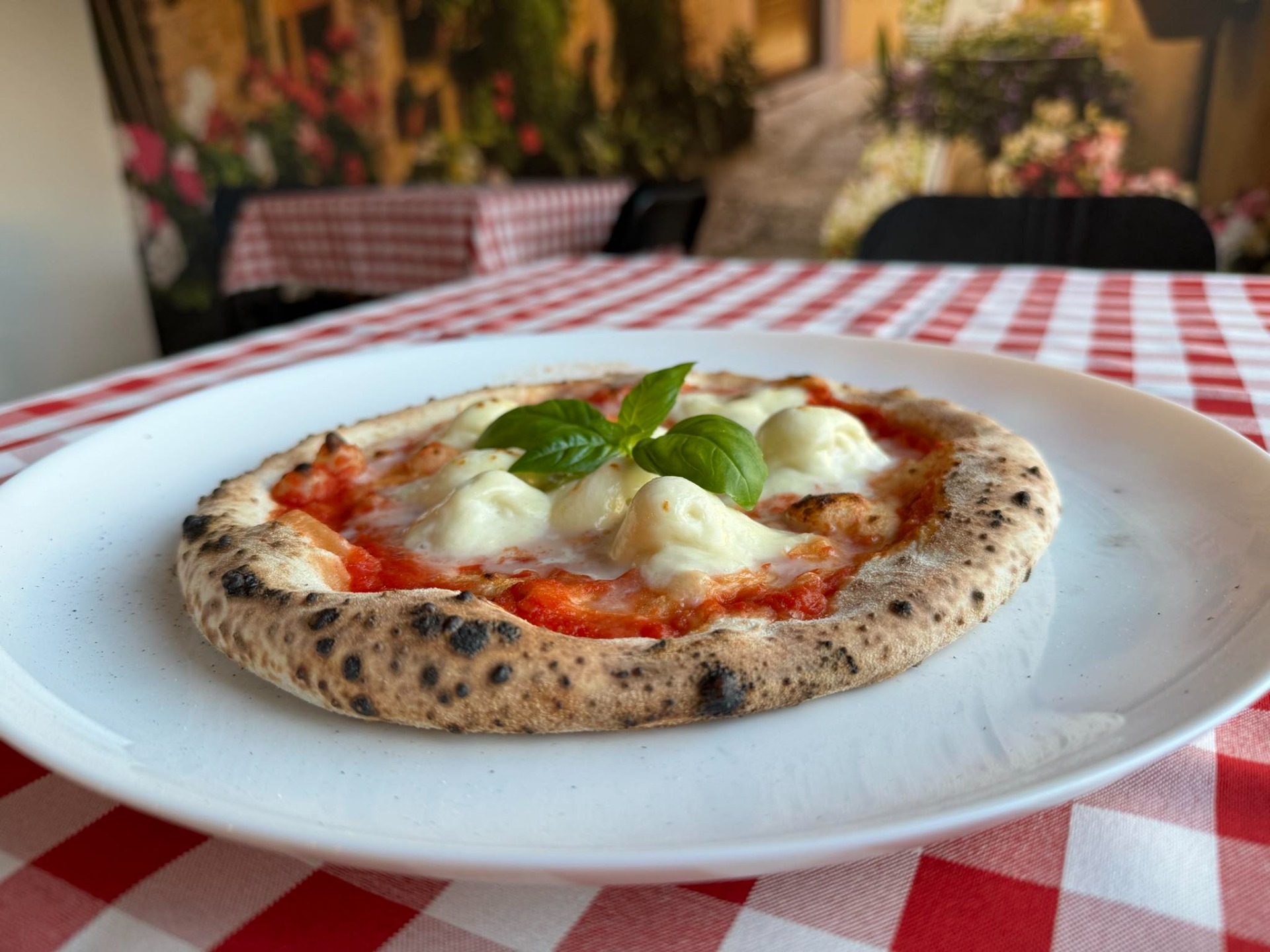 Margherita